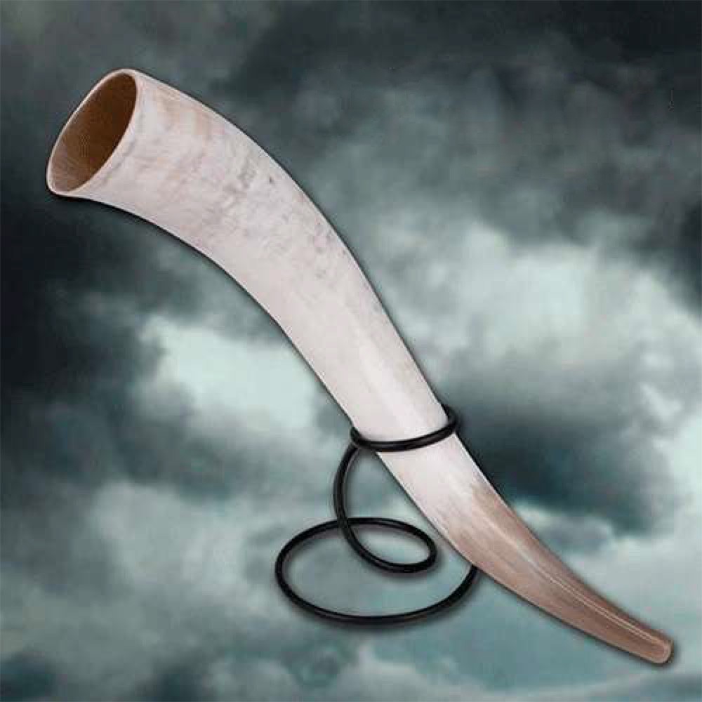 ?psc proxy image=1&product id=9461&image id=24792 - Corni vichinghi: storia, simbolismo e come scegliere il tuo
