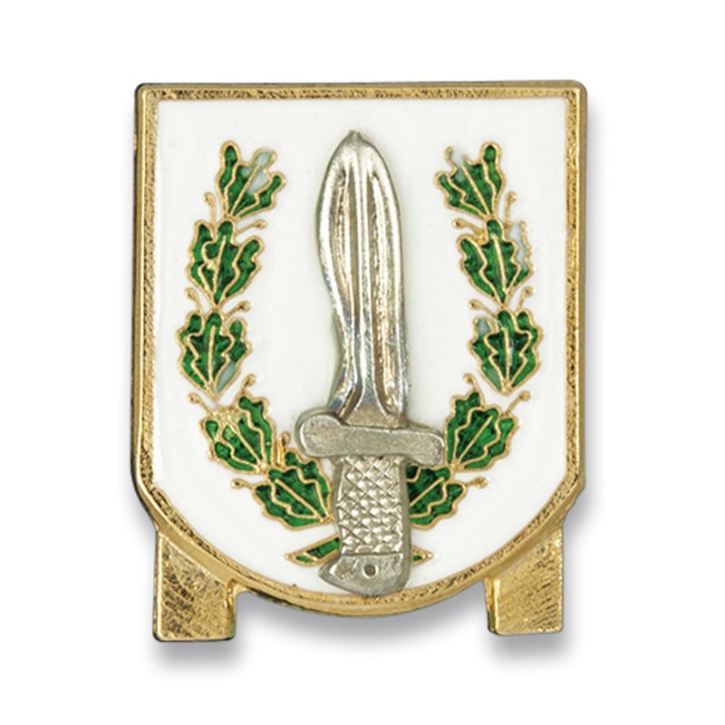 Distintivo di permanenza GOE