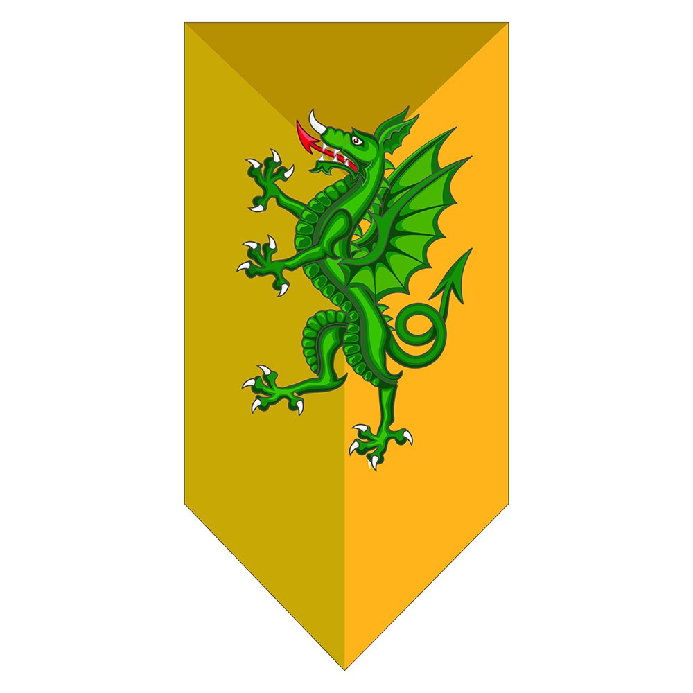 Banner Medievale Drago Verde