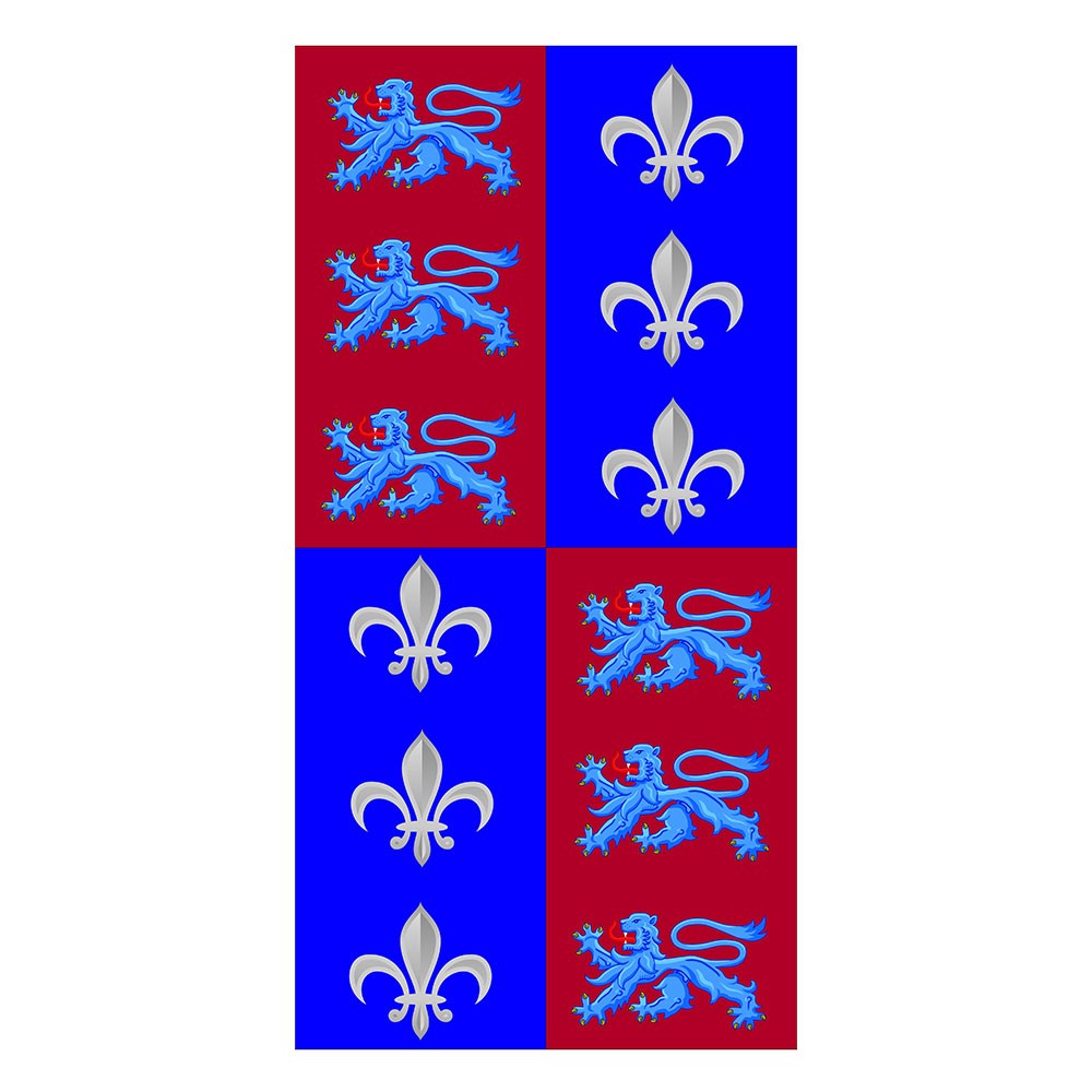 Banner Squartato Lions Fiore del Lys