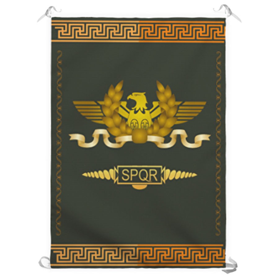 ?psc proxy image=1&product id=7966&image id=31718 - Stendardi Romani: I Pilastri Simbolici e Tattici della Potenza Militare