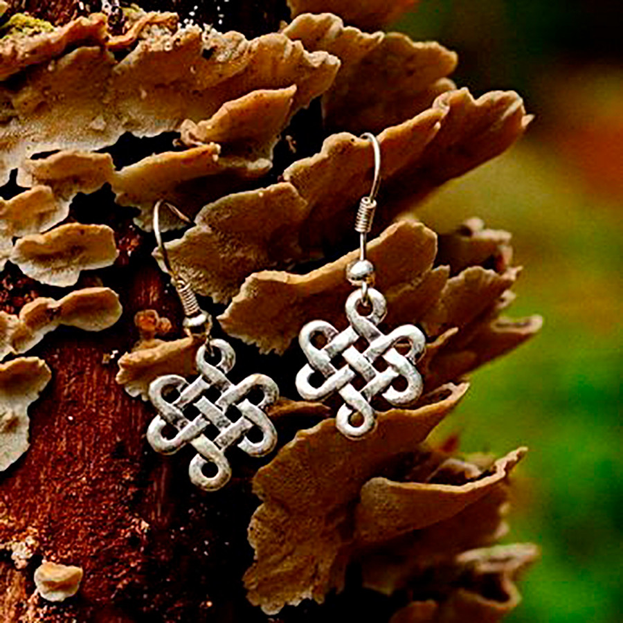 ?psc proxy image=1&product id=16011&image id=45962 - Orecchini medievali: storia, materiali e simboli che raccontano il Medioevo