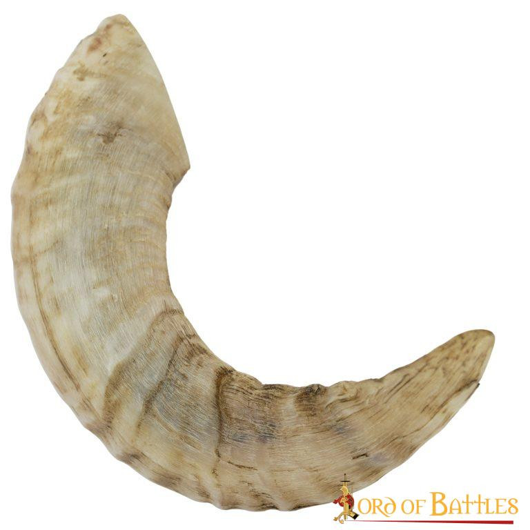 ?psc proxy image=1&product id=17009&image id=51220 - Corni vichinghi: storia, simbolismo e come scegliere il tuo