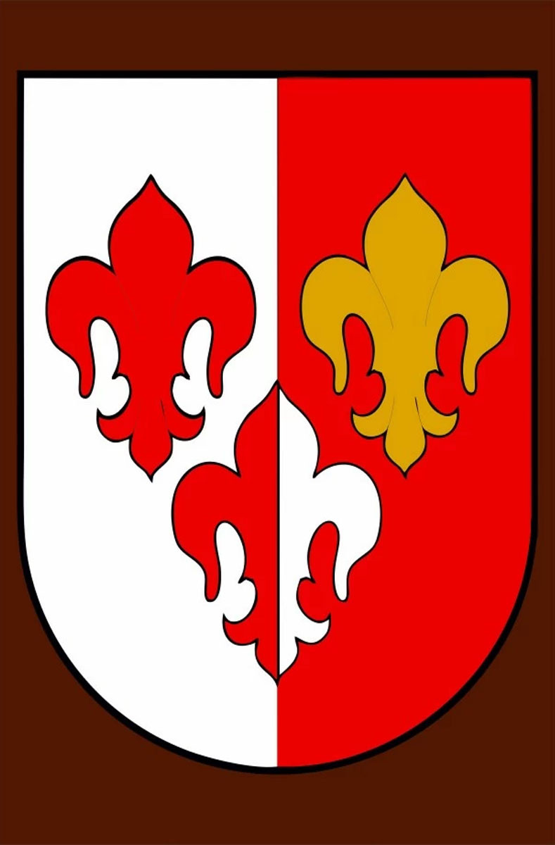 Stendardo medievale 3 fleurs-de-lys, 100 x 70 cm.