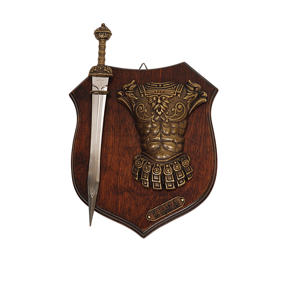 ?psc proxy image=1&product id=19255&image id=61555 - Panoplie medievali: storia, tipi, montaggio e guida completa per collezionisti e decoratori