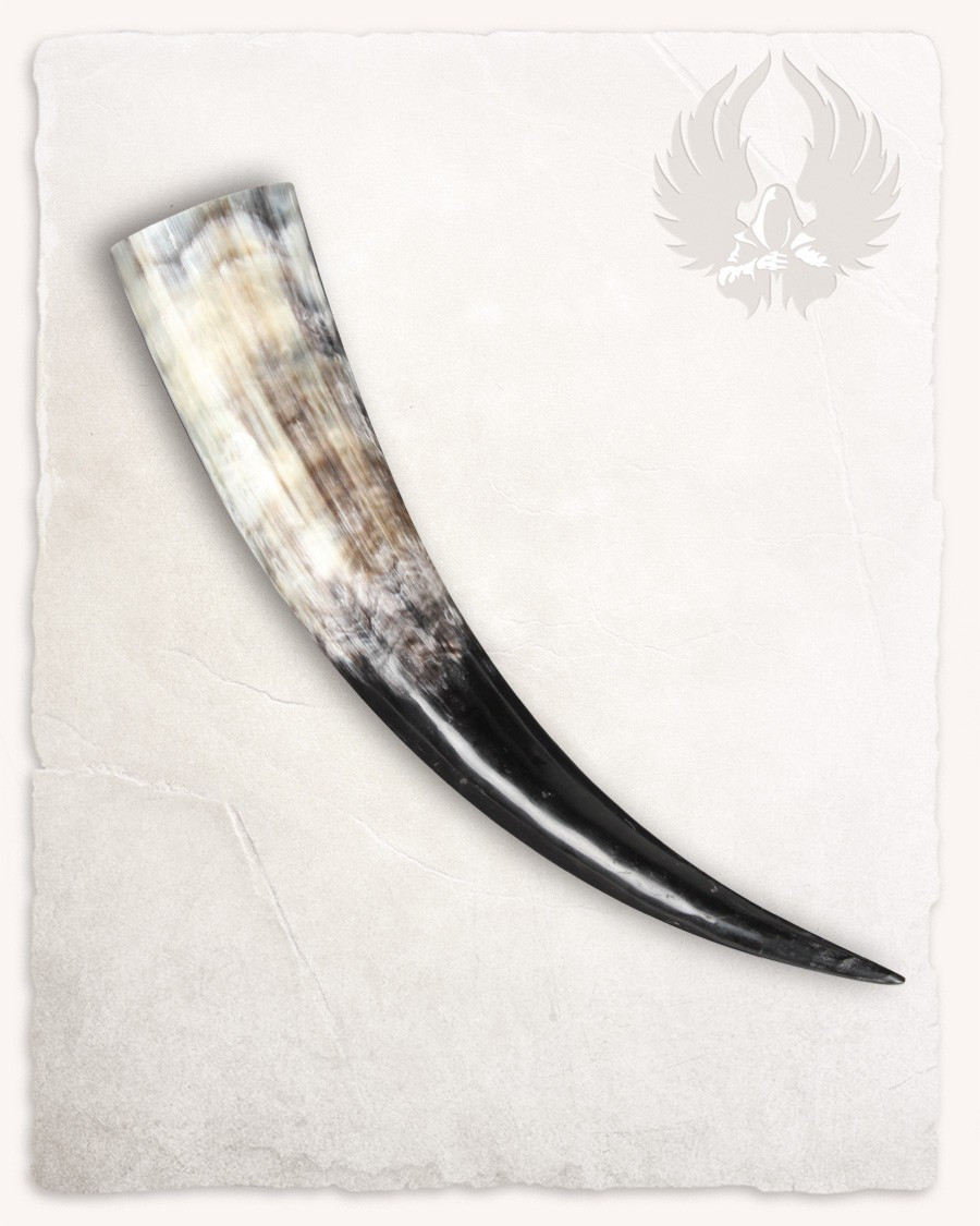 ?psc proxy image=1&product id=24756&image id=75202 - Corni vichinghi: storia, simbolismo e come scegliere il tuo