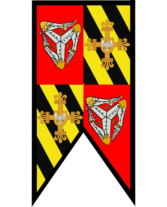 ?psc proxy image=1&product id=29890&image id=98730 - Stendardi Medievali: Da Simboli di Battaglia a Decorazione di Mercati