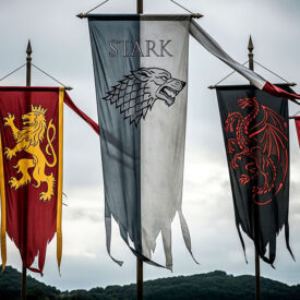 stendardi delle casate di game of thrones storia simbolismo e repliche per ambientare westeros 275x275 - Scudi celtici: storia, forma e simbolismo dei guardiani del guerriero